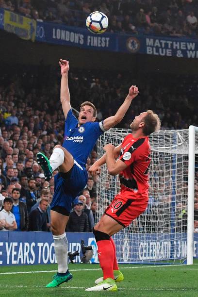 阿什比展现 阿什比展现